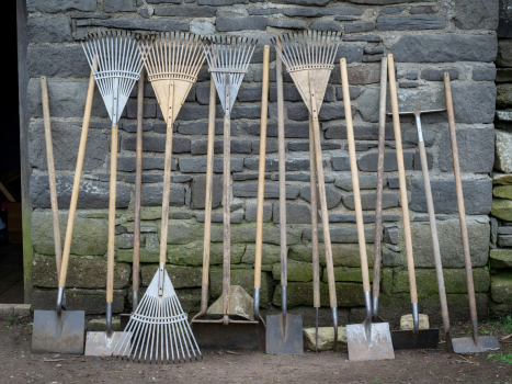 A collection of long handled rakes and hoes against a wall