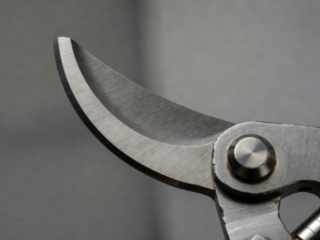 Detailed close-up of a high-quality bypass pruner blade